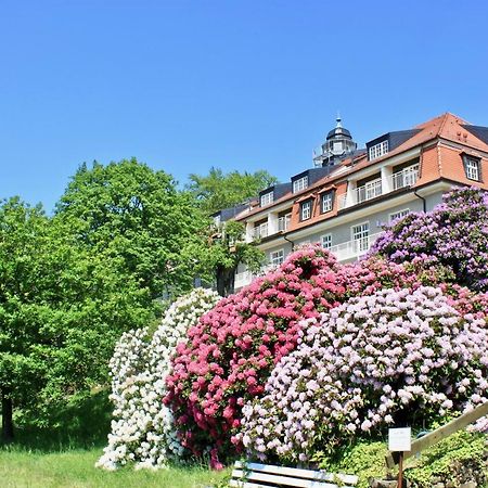 Ferienwohnung Natur Und Kunst เดรสเดน ภายนอก รูปภาพ
