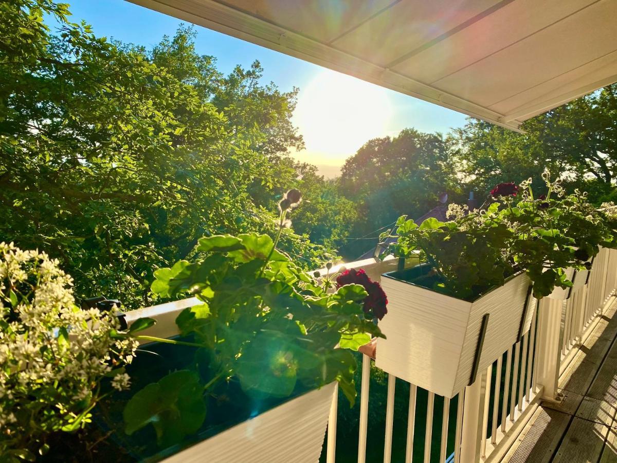 Ferienwohnung Natur Und Kunst เดรสเดน ภายนอก รูปภาพ