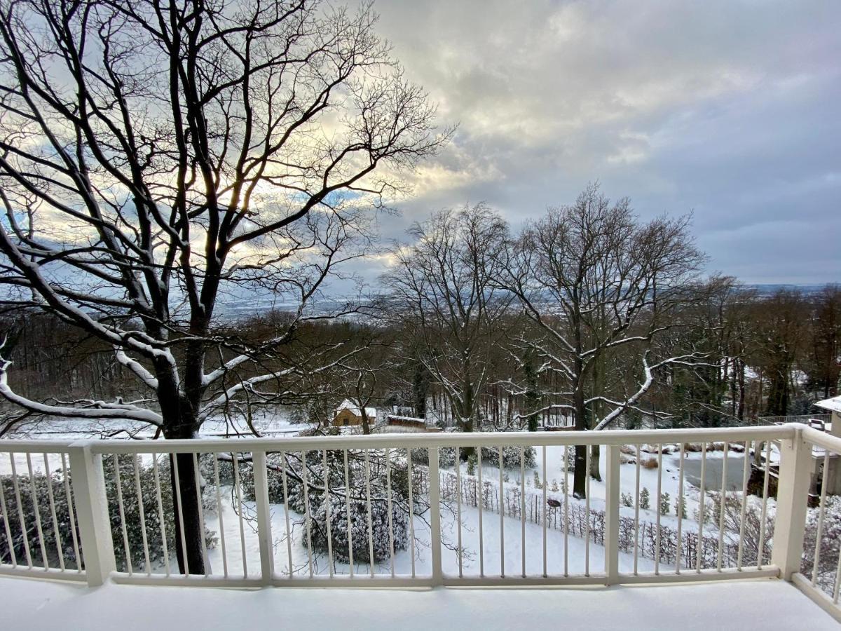 Ferienwohnung Natur Und Kunst เดรสเดน ภายนอก รูปภาพ