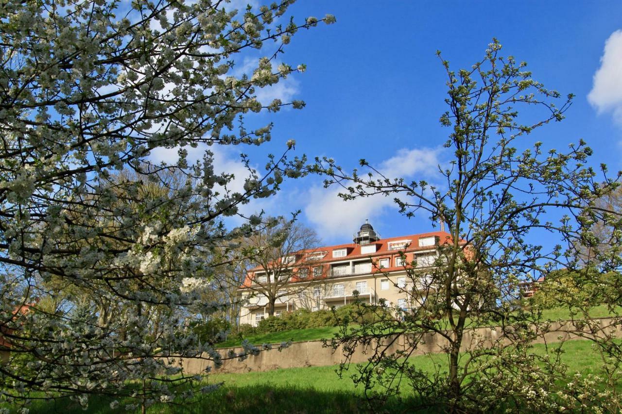 Ferienwohnung Natur Und Kunst เดรสเดน ภายนอก รูปภาพ