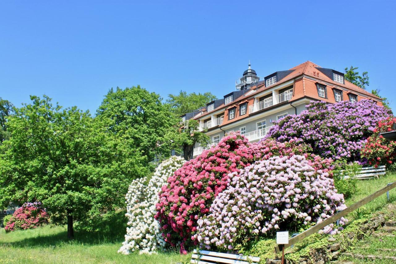 Ferienwohnung Natur Und Kunst เดรสเดน ภายนอก รูปภาพ