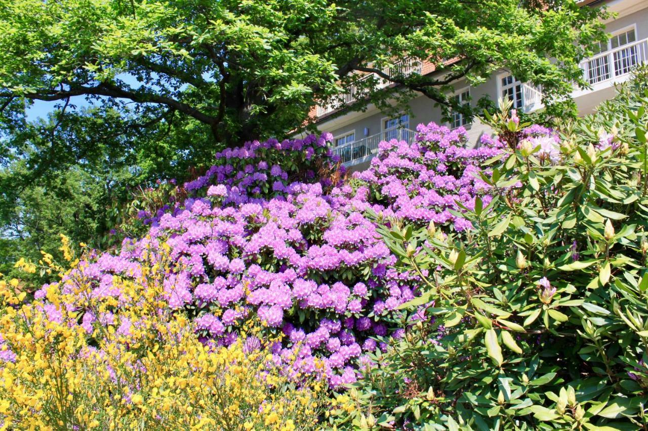 Ferienwohnung Natur Und Kunst เดรสเดน ภายนอก รูปภาพ