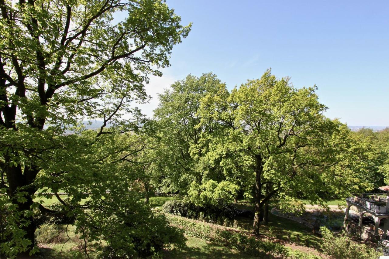Ferienwohnung Natur Und Kunst เดรสเดน ภายนอก รูปภาพ