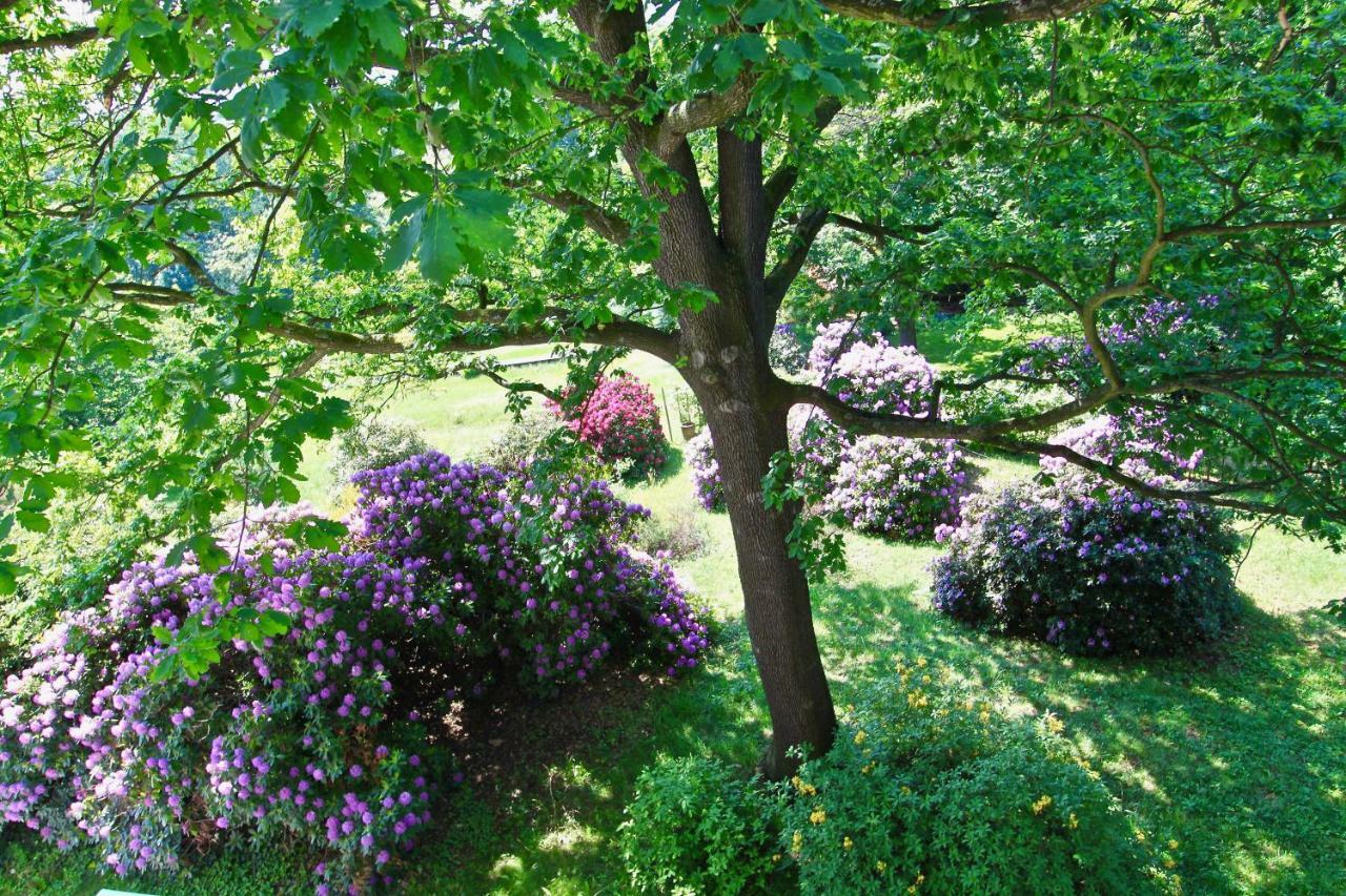 Ferienwohnung Natur Und Kunst เดรสเดน ภายนอก รูปภาพ