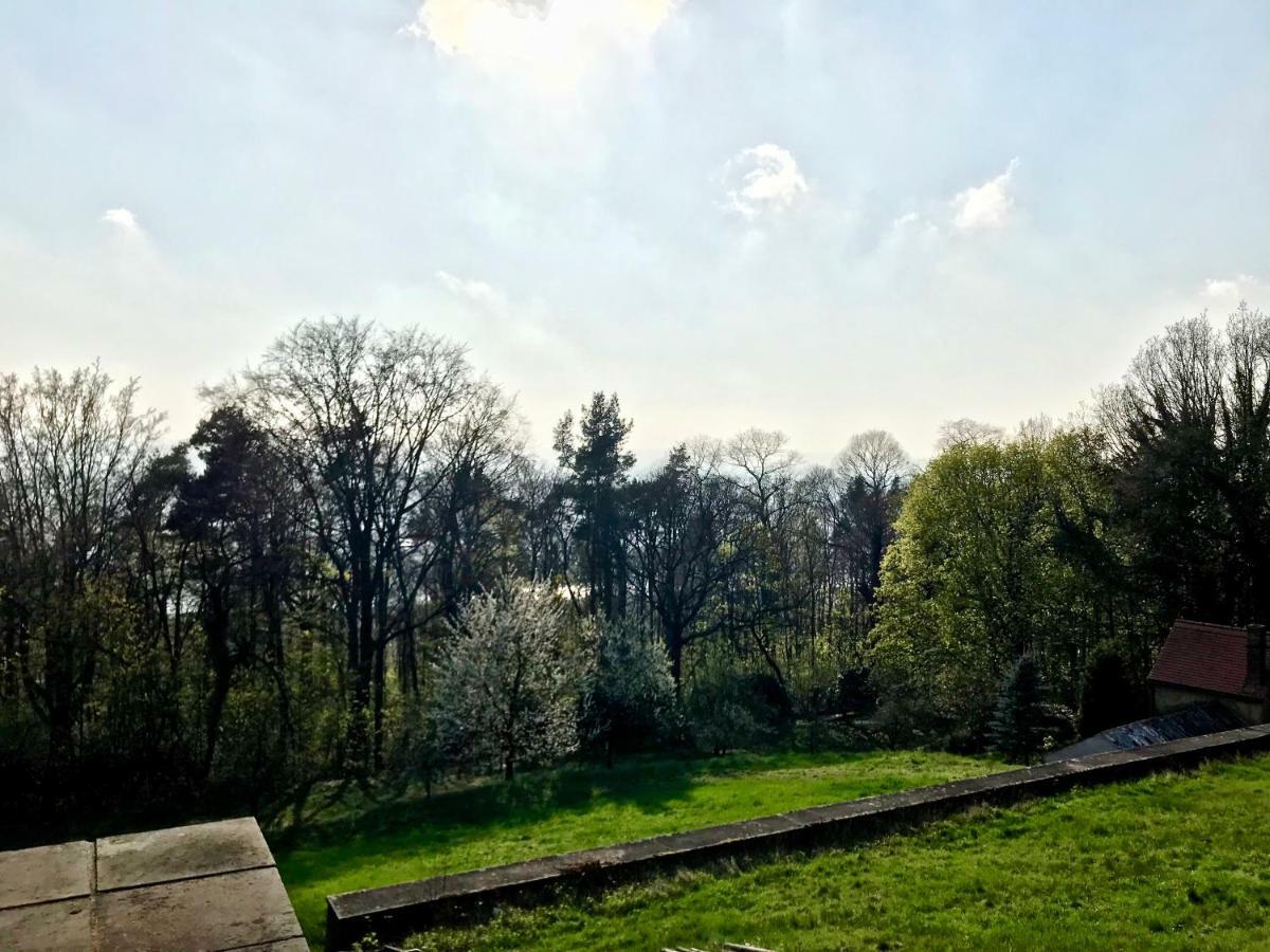 Ferienwohnung Natur Und Kunst เดรสเดน ภายนอก รูปภาพ