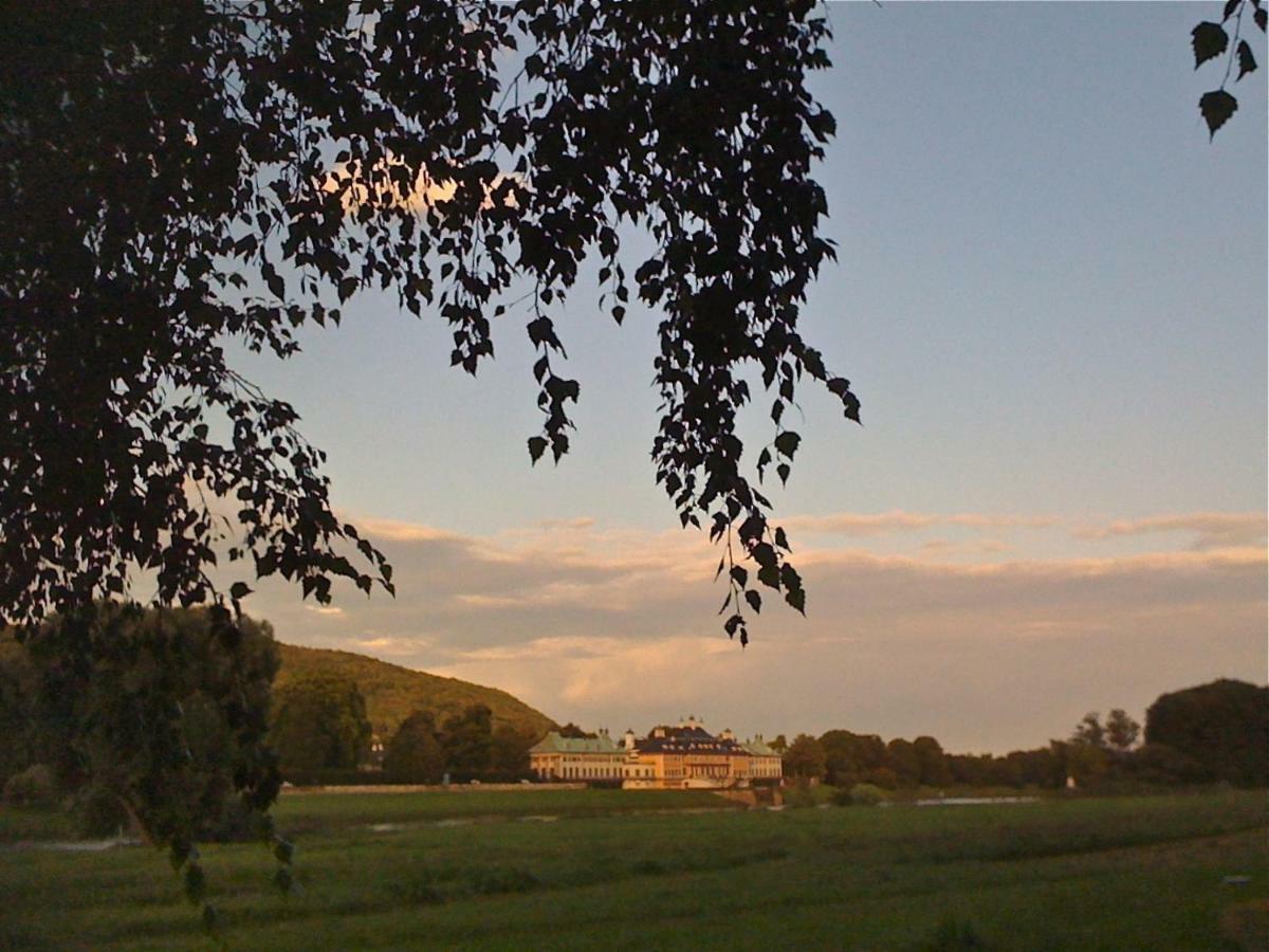 Ferienwohnung Natur Und Kunst เดรสเดน ภายนอก รูปภาพ
